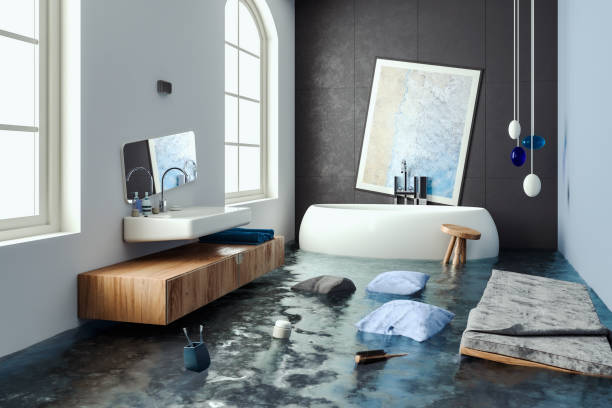 Best Mold removal after water damage  in Scott, LA