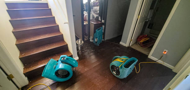Water damage restoration mold remediation in Scott, LA