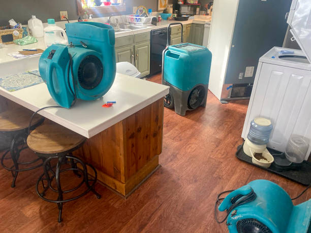 Best Ceiling water damage repair  in Scott, LA