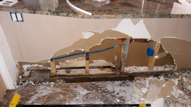 Best Water damage restoration mold remediation  in Scott, LA