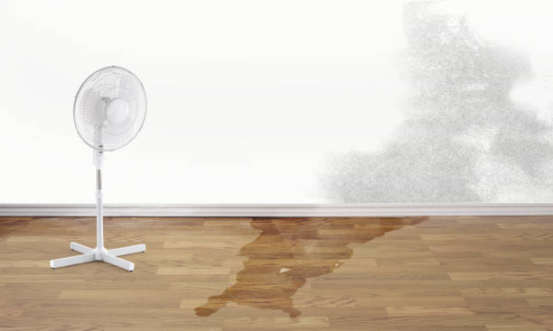Best Water damage restoration near me  in Scott, LA