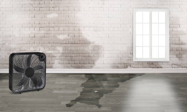 Best Emergency water damage restoration  in Scott, LA