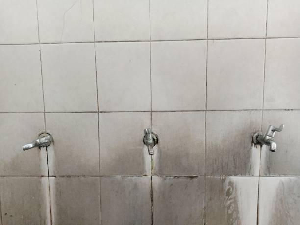 Best Flood damage cleanup  in Scott, LA