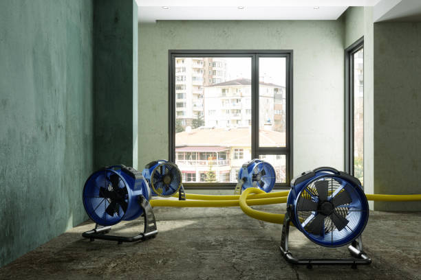 Best 24/7 water damage repair  in Scott, LA